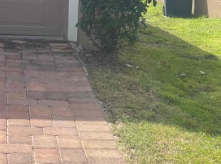 Shelia H.'s Bush Trimming service result