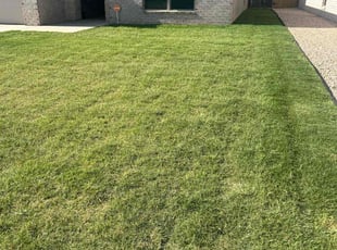 Victor G.'s lawn care service result