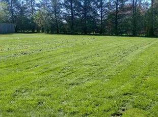 Michelle C.'s lawn maintenance service result