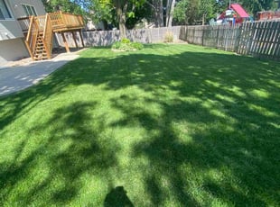 Mayra A.'s turf care service result