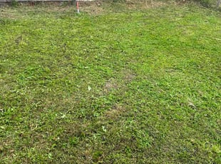 Stephanie C.'s lawn care services service result