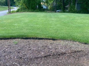 Bryant V.'s lawn service service result