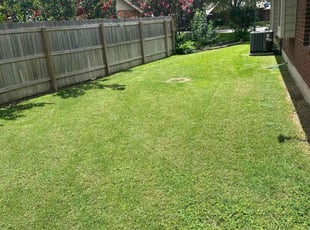 Anakin M.'s lawn care services service result