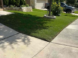 Mallory B.'s turf care service result