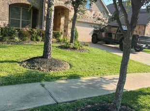 Eliza L.'s lawn maintenance service result