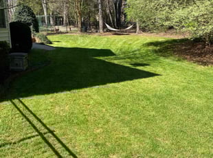 Ed R.'s lawn maintenance service result