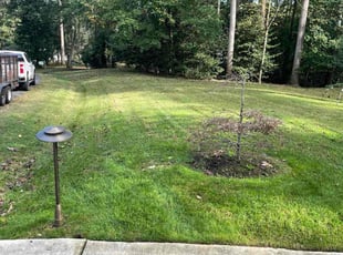 Ferdy D.'s grass cutting service result