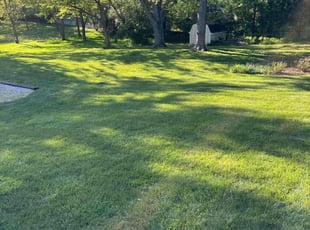 Bry H.'s lawn service service result