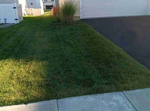 Shalyce J.'s lawn maintenance service result