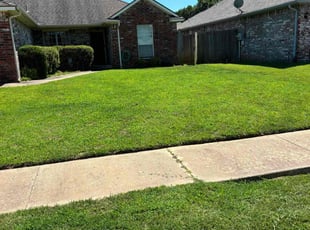 Lisa S.'s lawn care services service result