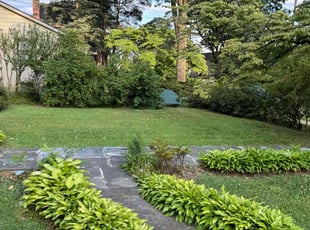 Andre B.'s lawn service service result