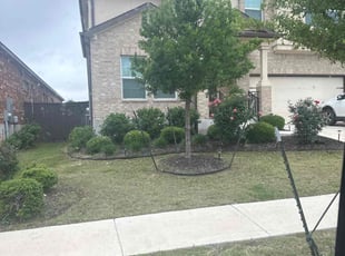 Jalal S.'s landscaping service result