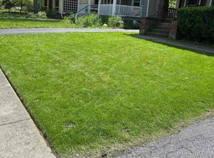 Allan L.'s turf maintenance service result