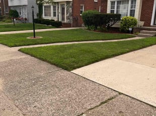 Pamela H.'s lawn care services service result