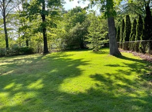 Kenya B.'s lawn care service result