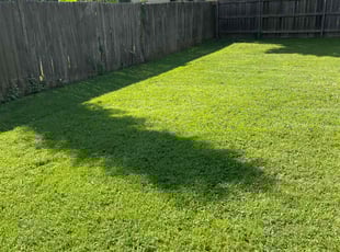 Michele A.'s turf maintenance service result