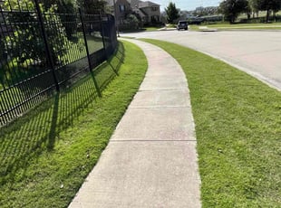 Lynn C.'s grass cutting service result
