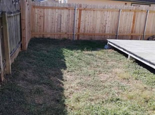 Cassandra B.'s Leaf Removal service result