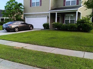 Kathryn B.'s lawn care service result