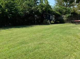 Caleb H.'s turf maintenance service result
