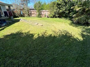 Bob P.'s Cleanups service result