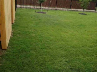 Stephanie D.'s turf maintenance service result