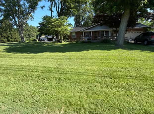 Robert M.'s turf care service result