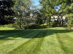 Alex G.'s lawn service service result