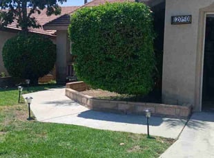 Evan L.'s Bush Trimming service result