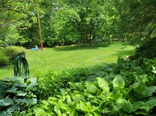 Matt M.'s lawn care service result