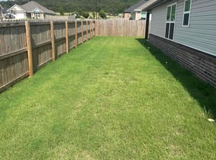 Jamal T.'s turf maintenance service result