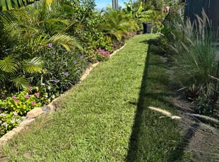 Natalie E.'s turf care service result