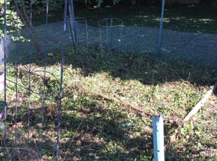 Martin H.'s Flower Bed Weeding service result
