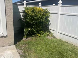 Natasha W.'s Bush Trimming service result