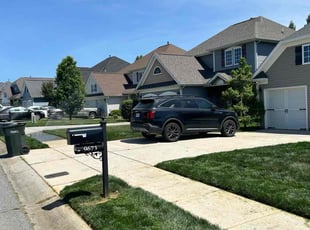 Ana C.'s yard maintenance service result