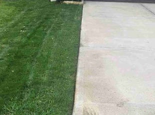 Pat B.'s lawn service service result