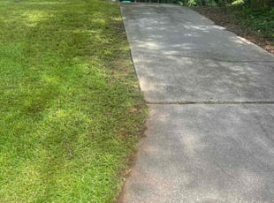Matthew R.'s turf care service result