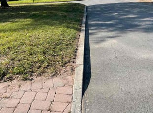 Shirley L.'s turf maintenance service result