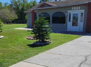 Ama A.'s lawn service service result