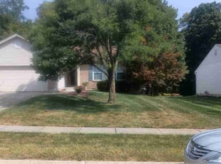 Daniel B.'s turf maintenance service result