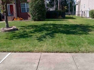 Allison M.'s Bush Trimming service result