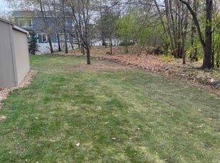 M L.'s Leaf Removal service result