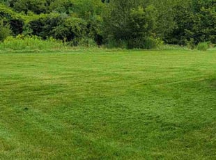 Juan A.'s lawn service service result