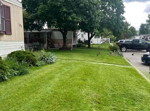 Gene A.'s grass maintenance service result