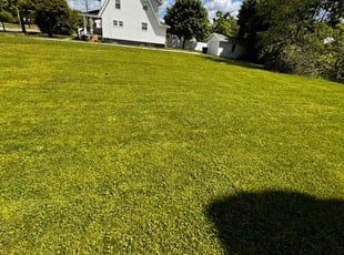 Lawanda J.'s landscape maintenance service result