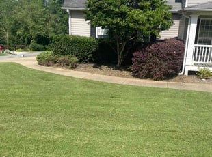 Ruthie W.'s Bush Trimming service result