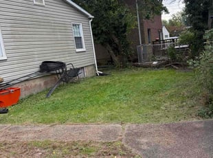 Alaina C.'s grass cutting service result