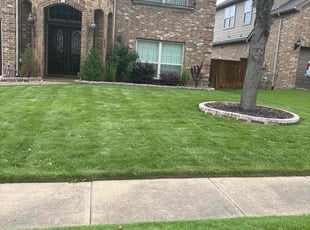 Paul A.'s lawn maintenance service result
