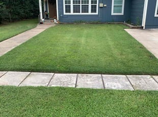 Marita B.'s grass maintenance service result