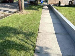 Vinesett T.'s lawn service service result